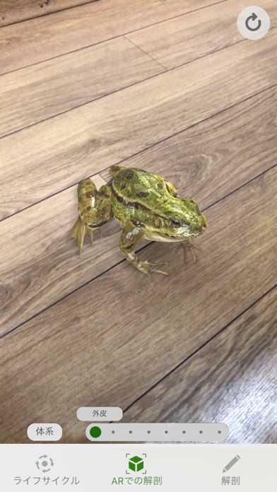 Froggipediaのおすすめ画像2