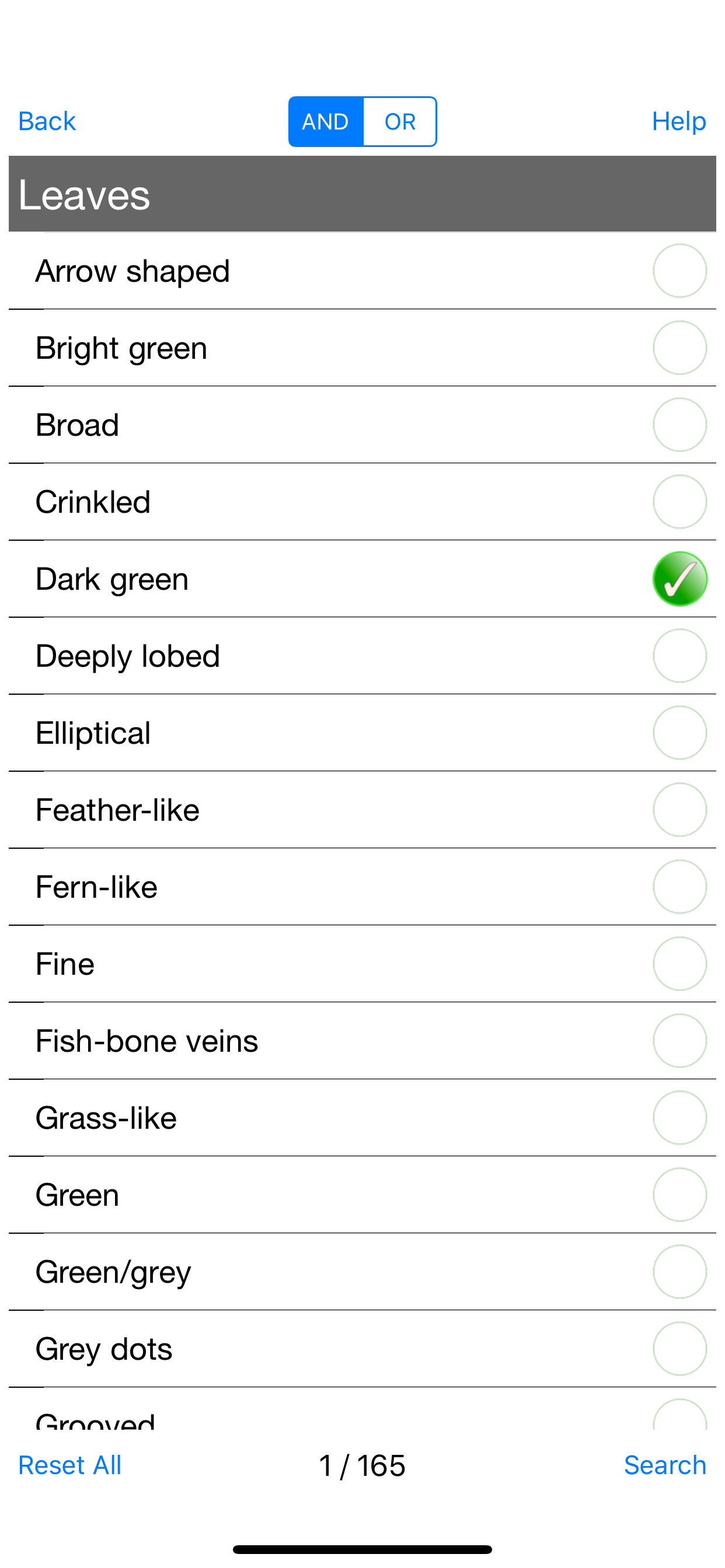 Forage - Wild Free Food