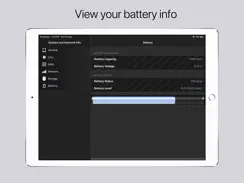 System & Network Info iPad image 4