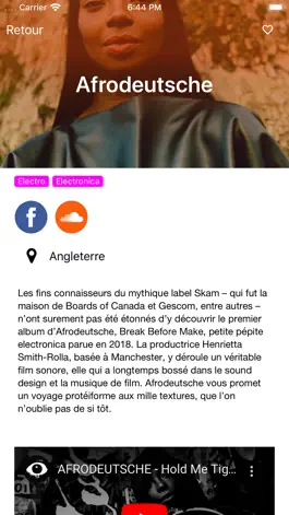 Game screenshot Pitchfork Music Festival Paris hack