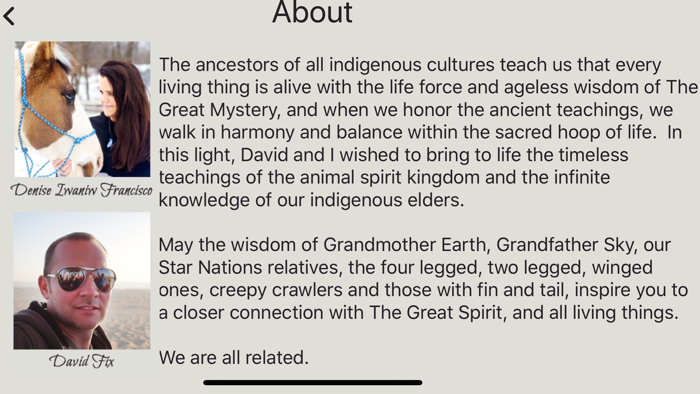 Animal Totems Empowerment Deck