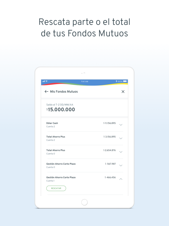 Bci iPad screenshot 6 - Finance app