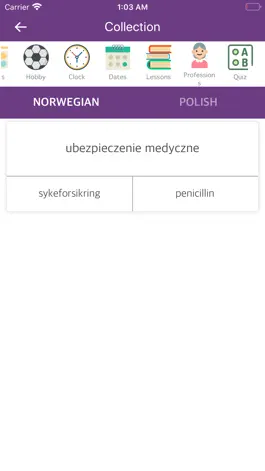 Game screenshot Norwegian Polish Dictionary hack