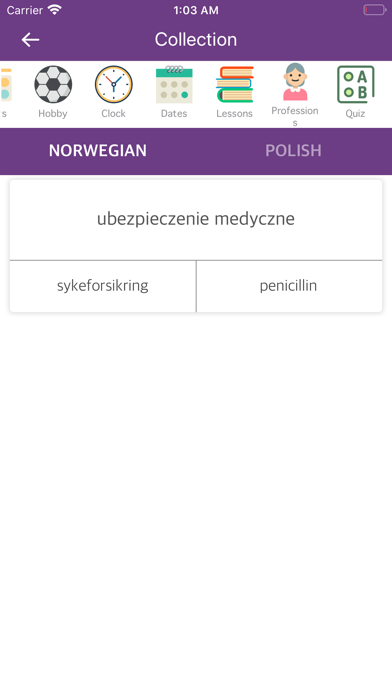Norwegian Polish Dictionary screenshot 3