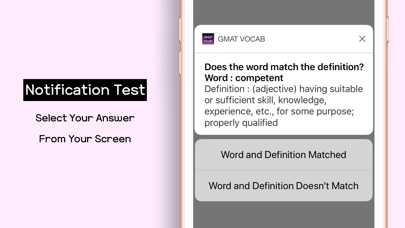 GMAT Vocabulary Words Test Screenshot