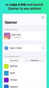 Opener ‒ open links in apps screenshot