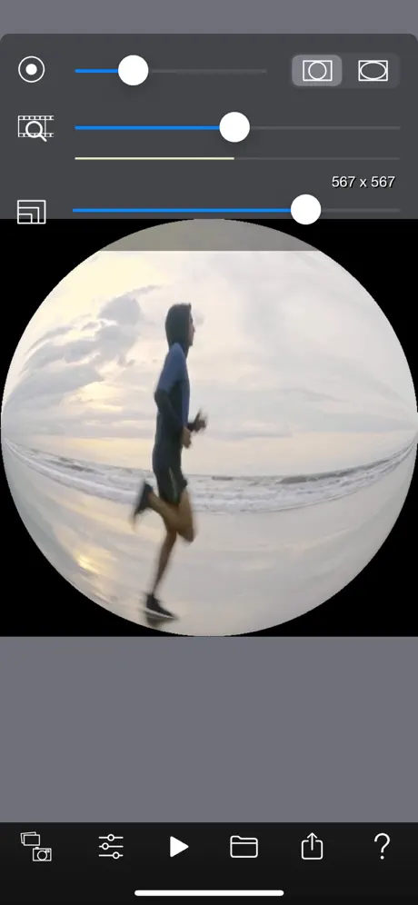 Fisheye Fun