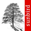 Winter Tree Id - British Isles delete, cancel