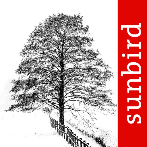 Winter Tree Id - British Isles icon