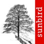 Winter Tree Id - British Isles app download