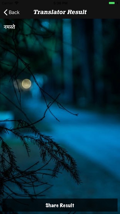 AudioTranslatorMeri screenshot-4