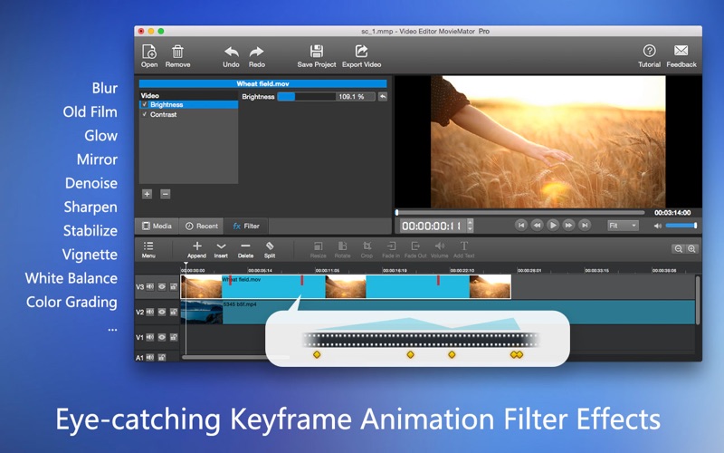 Screenshot #3 pour MovieMator Video Editor Pro