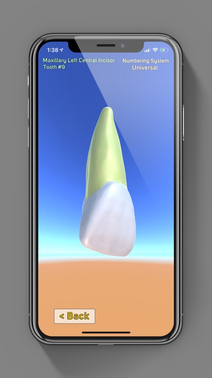 3D Tooth Anatomy screenshot-3