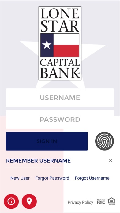 Lone Star Capital Bank Screenshot