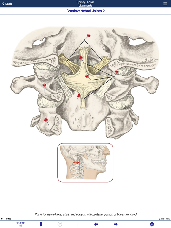 AnatomyMappのおすすめ画像4