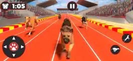 Game screenshot Greyhound Dog Racing Derby hack