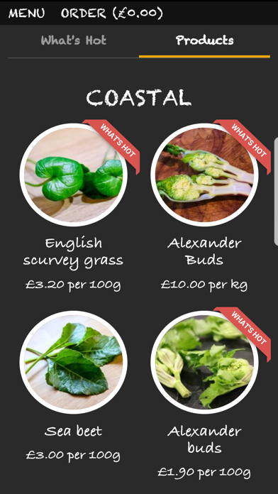 Bello Wild Food Screenshot