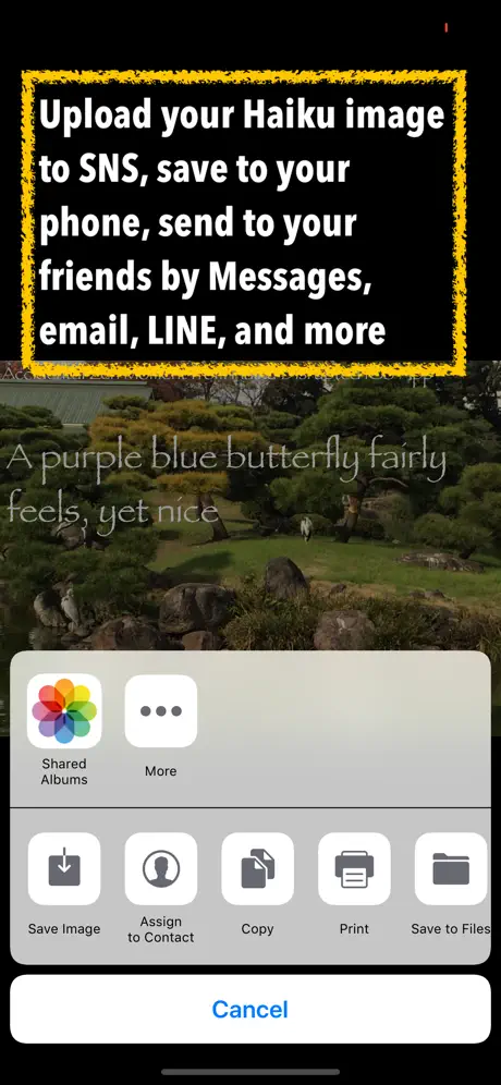 Haiku Disrupted