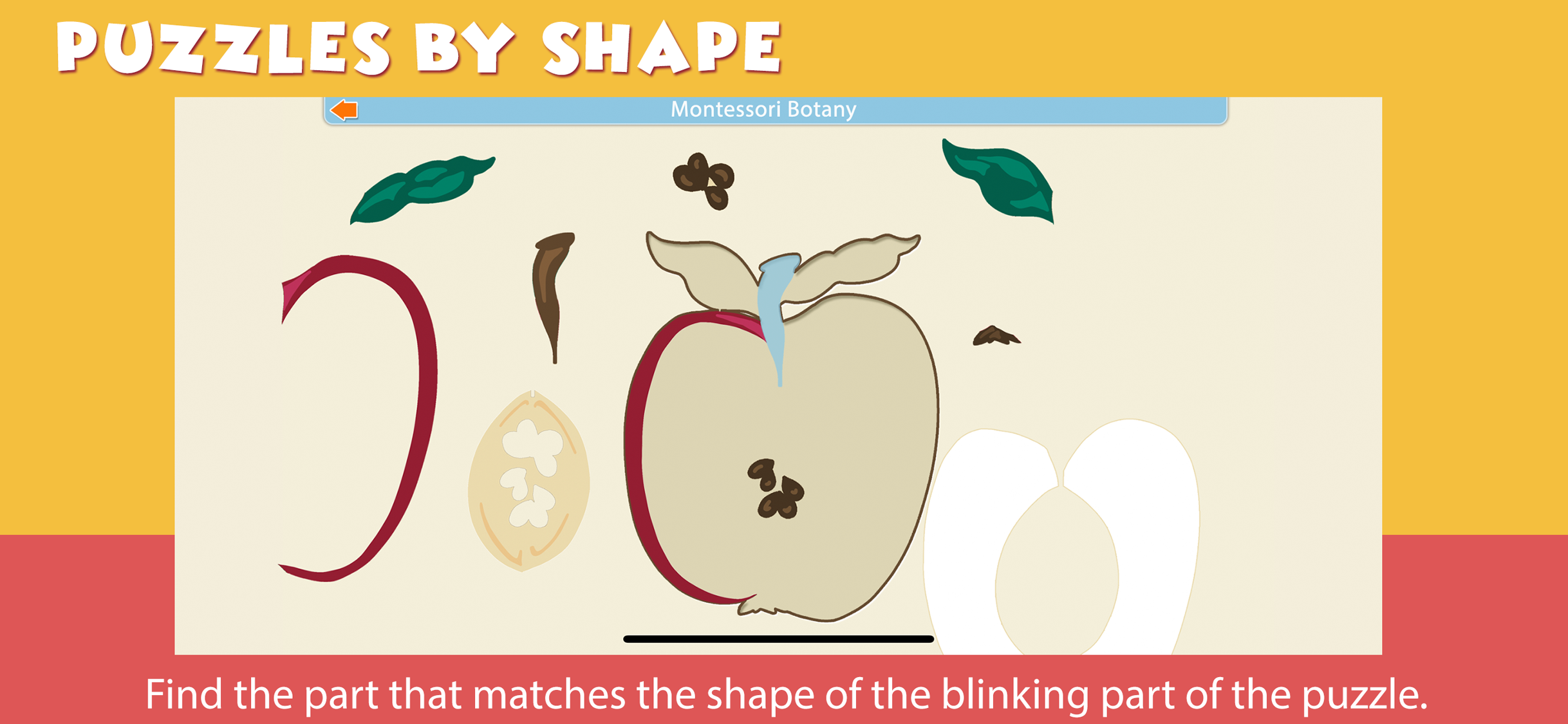 Montessori Parts of Fruits screenshot 3