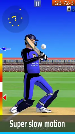 Game screenshot Smashing Cricket: cricket game mod apk