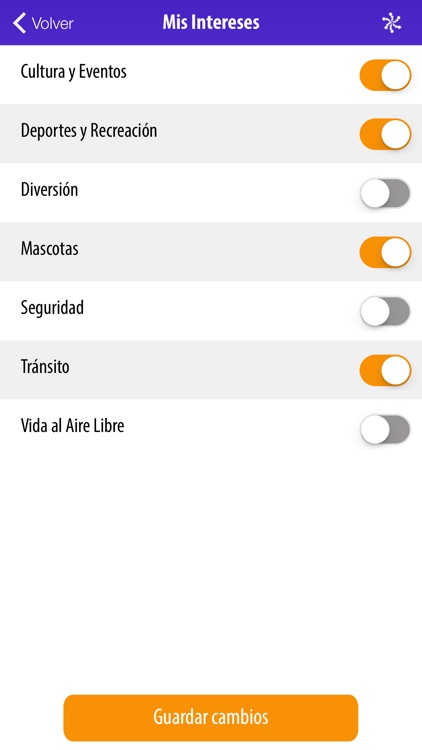 Limache en Movimiento screenshot-4