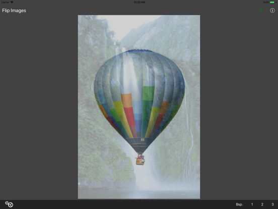 Screenshot #4 pour Flip Images