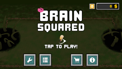 Brain Squared screenshot 4