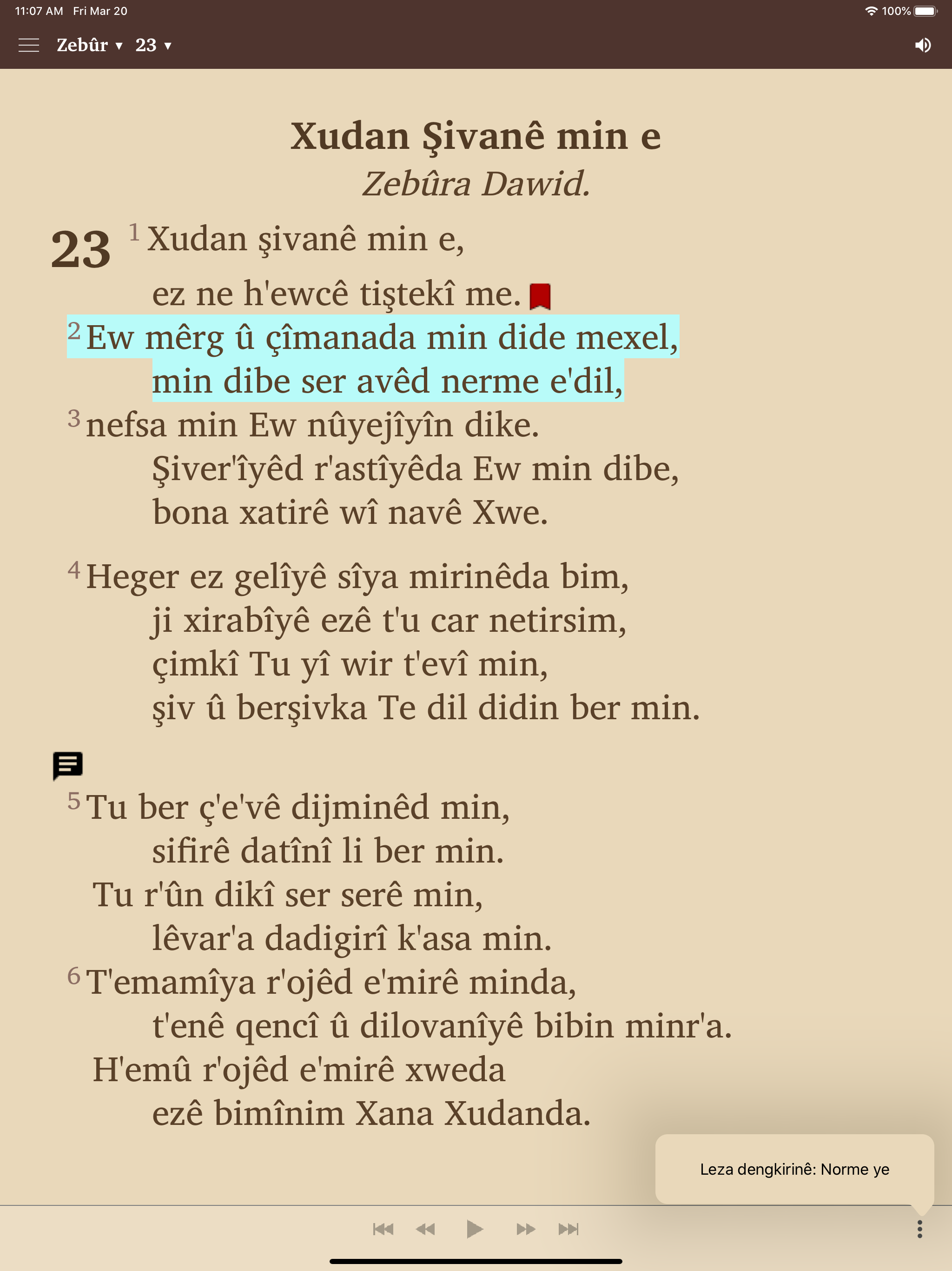 Nivîsarêd Pîroz