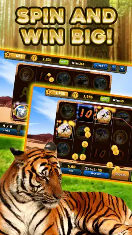 Game screenshot Wild Tiger Slots Machine Games apk