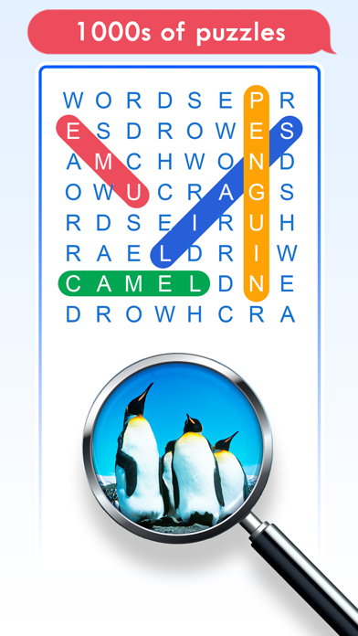 Picture Word Search screenshot 3