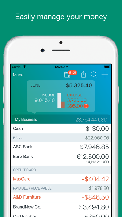 Account Book - Money Manager Screenshot