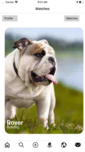 pawSpace screenshot 4