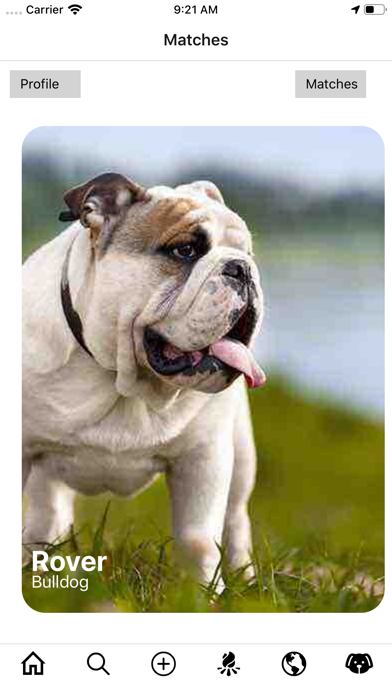 pawSpace iPhone screenshot 4 - Social Networking app