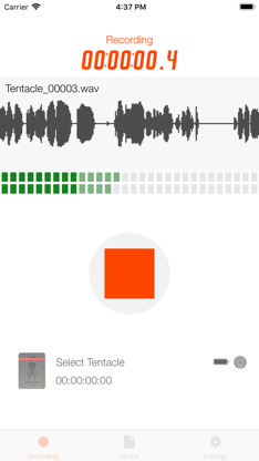 Timecode Audio Recorder screenshot 1