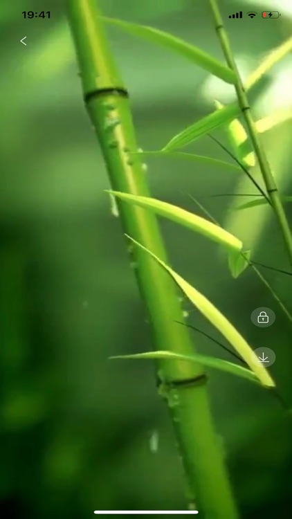 Wallpapers -HD&Backgrounds