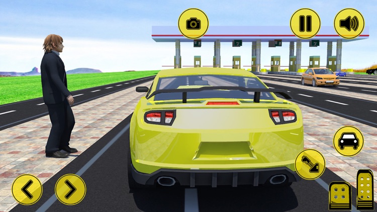 Highway traffic road crossing