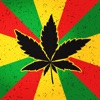 Weed Firm Marijuana Emojis App - iPadアプリ