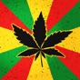 Weed Firm Marijuana Emojis App app download