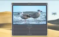 Video 2 Photo - HD iphone bilder 3
