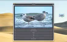 Video 2 Photo - HD iPhone image 4