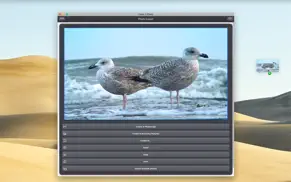 video 2 photo - hd iphone resimleri 4