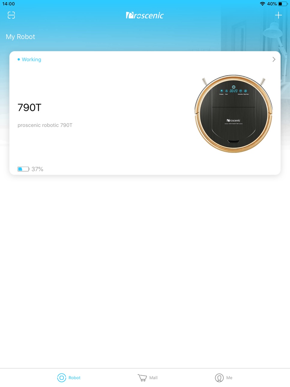 iPad screenshot