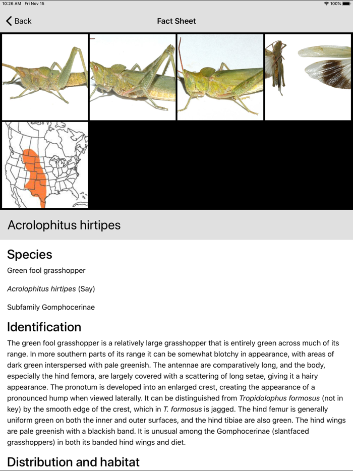 Grasshoppers of the Western US