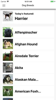 dog breeds hd wallpapers iphone screenshot 1