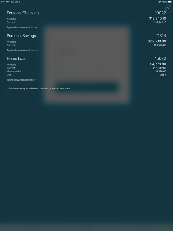 Screenshot #4 pour Tidemark FCU