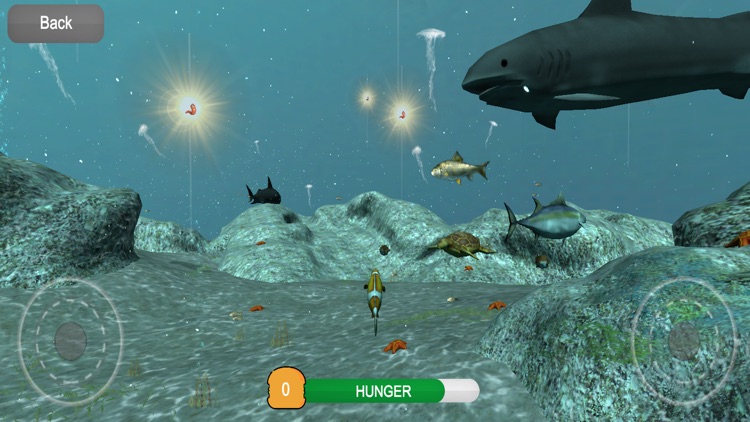 Real Fish Simulator screenshot-3