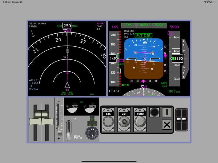JET73 RAW ILS screenshot-4