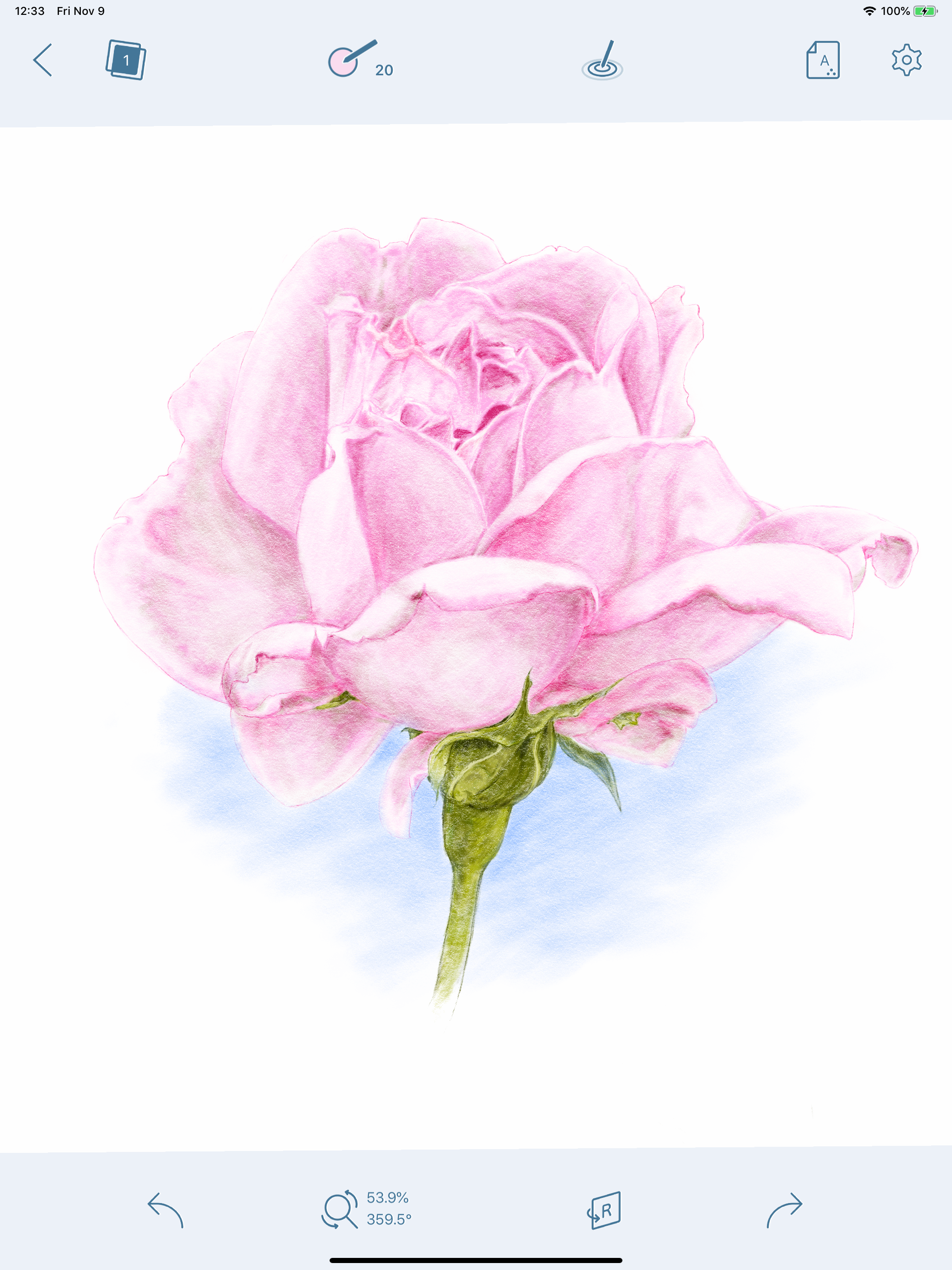 Colored Pencil