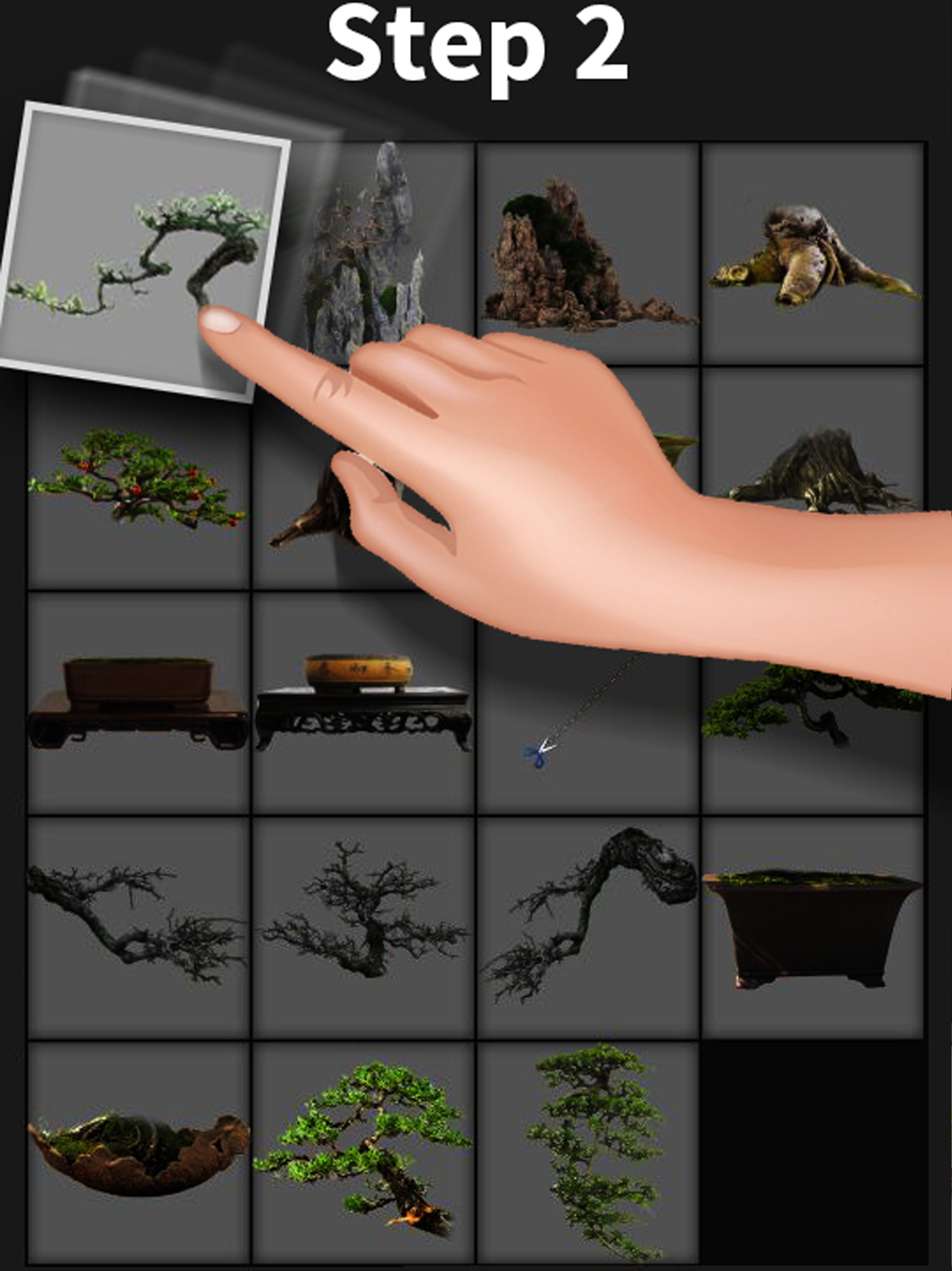 My Bonsai