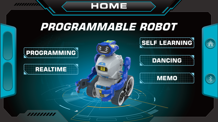 Programmable Robot
